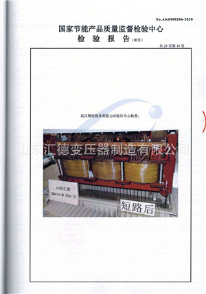 突發短路承受能力試驗報告